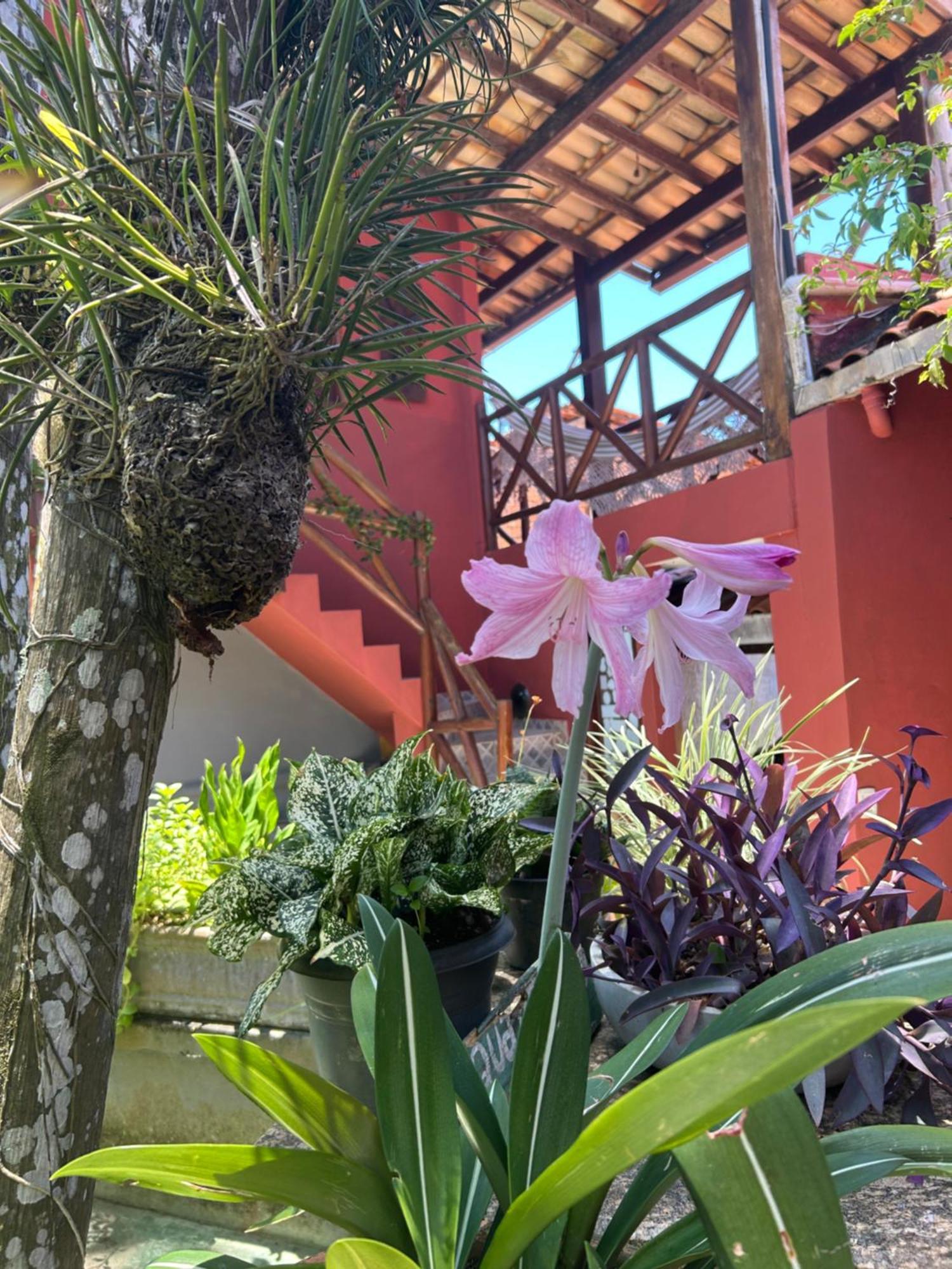 Pousada Estrela Itacaré Exterior foto